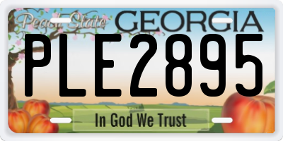 GA license plate PLE2895