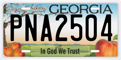 GA license plate PNA2504