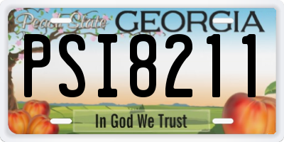 GA license plate PSI8211