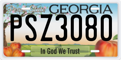 GA license plate PSZ3080