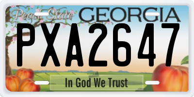 GA license plate PXA2647