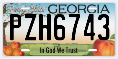 GA license plate PZH6743