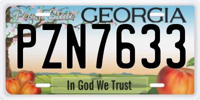 GA license plate PZN7633