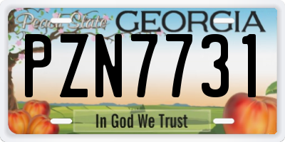 GA license plate PZN7731