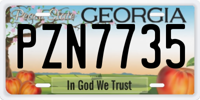 GA license plate PZN7735