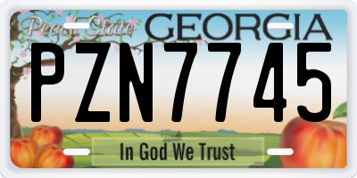 GA license plate PZN7745