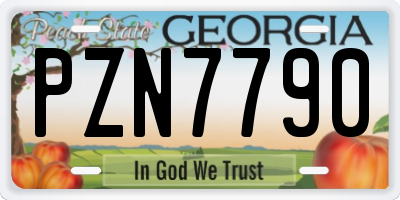 GA license plate PZN7790