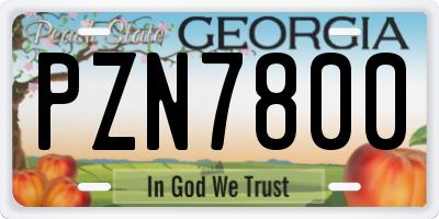 GA license plate PZN7800