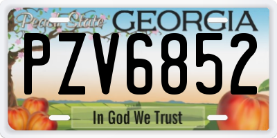 GA license plate PZV6852