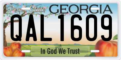 GA license plate QAL1609