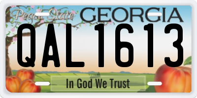 GA license plate QAL1613