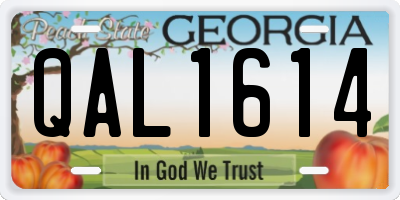 GA license plate QAL1614