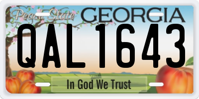 GA license plate QAL1643