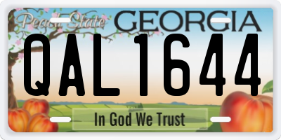 GA license plate QAL1644