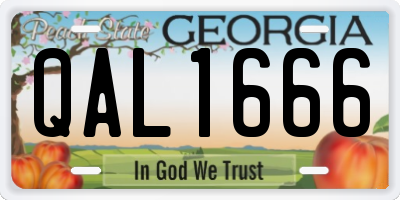 GA license plate QAL1666