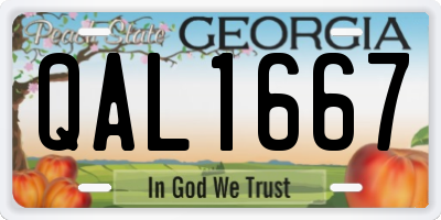 GA license plate QAL1667