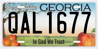 GA license plate QAL1677