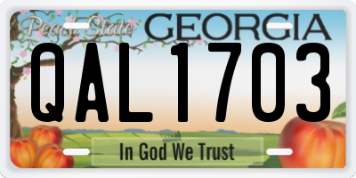 GA license plate QAL1703