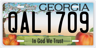 GA license plate QAL1709