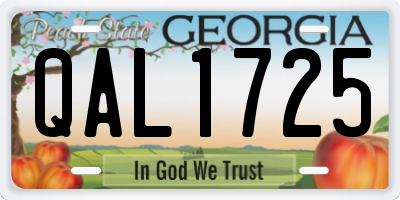 GA license plate QAL1725