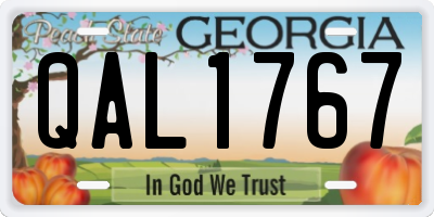 GA license plate QAL1767