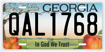 GA license plate QAL1768