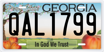 GA license plate QAL1799