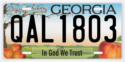 GA license plate QAL1803