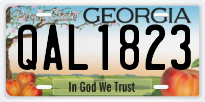 GA license plate QAL1823