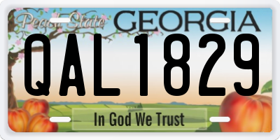 GA license plate QAL1829