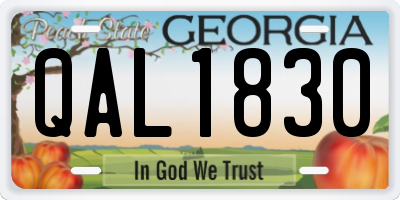 GA license plate QAL1830