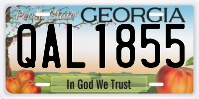 GA license plate QAL1855