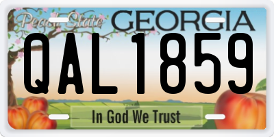 GA license plate QAL1859