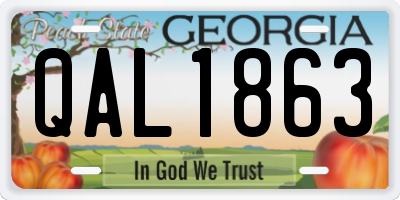 GA license plate QAL1863