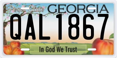 GA license plate QAL1867