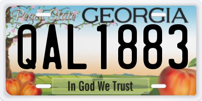 GA license plate QAL1883