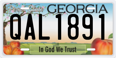 GA license plate QAL1891