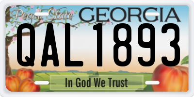 GA license plate QAL1893