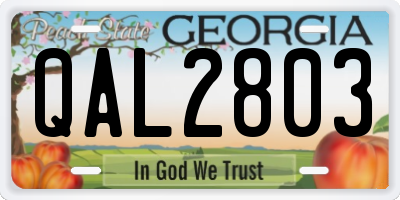 GA license plate QAL2803