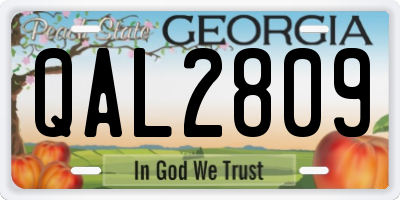 GA license plate QAL2809