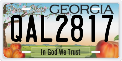 GA license plate QAL2817