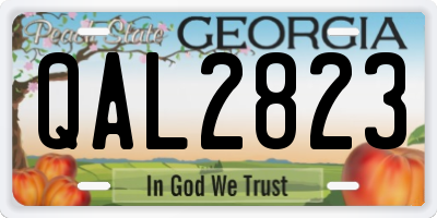 GA license plate QAL2823