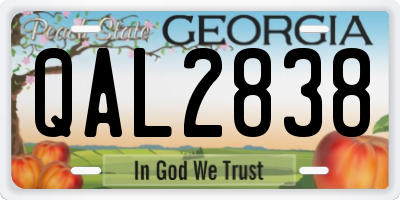 GA license plate QAL2838