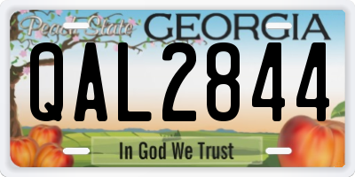 GA license plate QAL2844