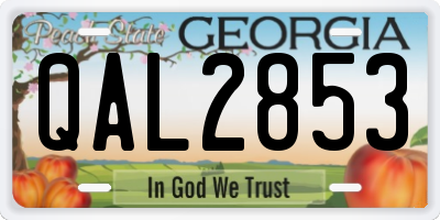 GA license plate QAL2853