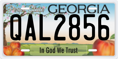 GA license plate QAL2856