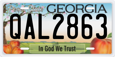 GA license plate QAL2863