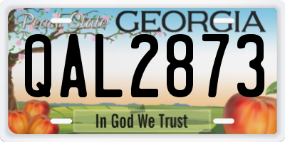 GA license plate QAL2873