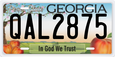 GA license plate QAL2875
