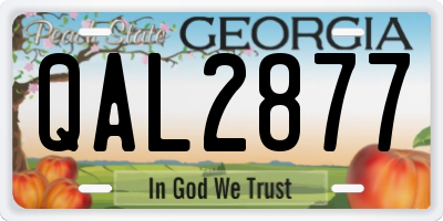 GA license plate QAL2877